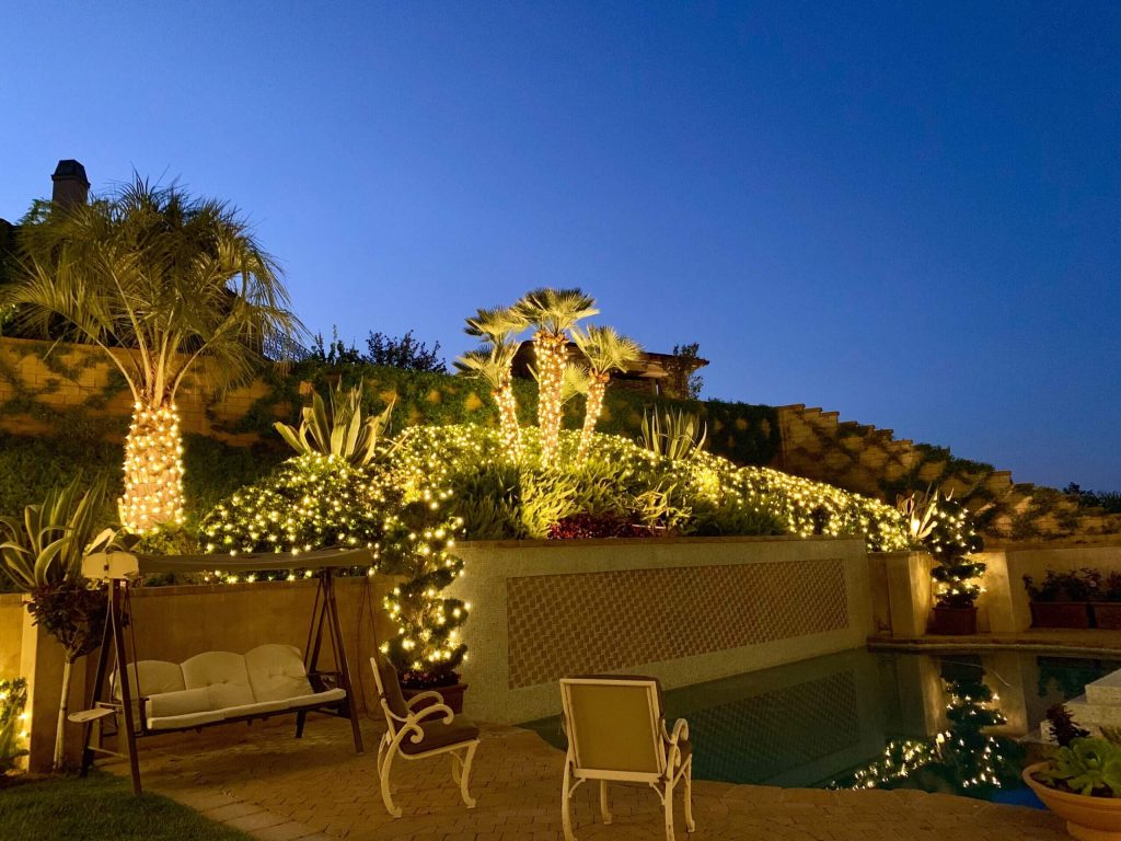 Backyard with Outdoor Lighting