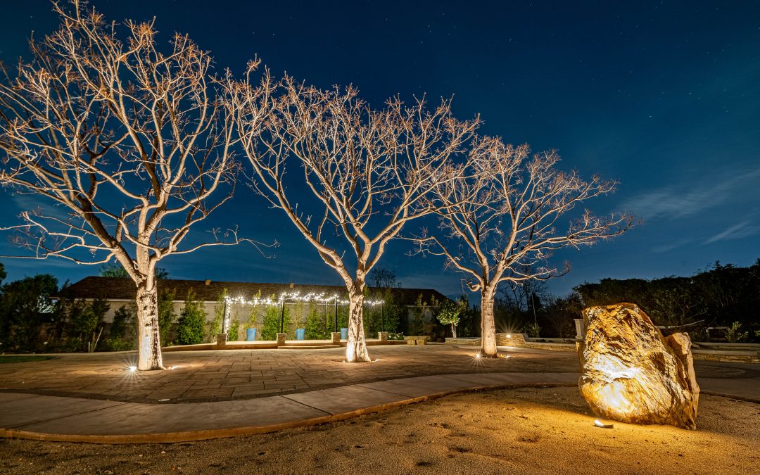 From Safety to Aesthetics: How Landscape Lighting Enhances Your Property